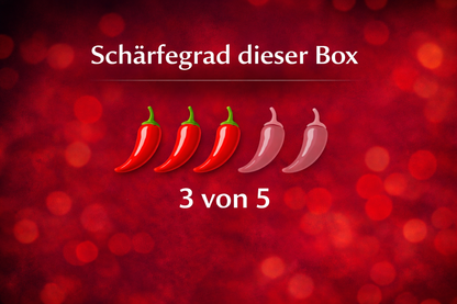 Lass mich führen – Snexy Erlebnis-Box | Vertrauen, das Lust entfacht